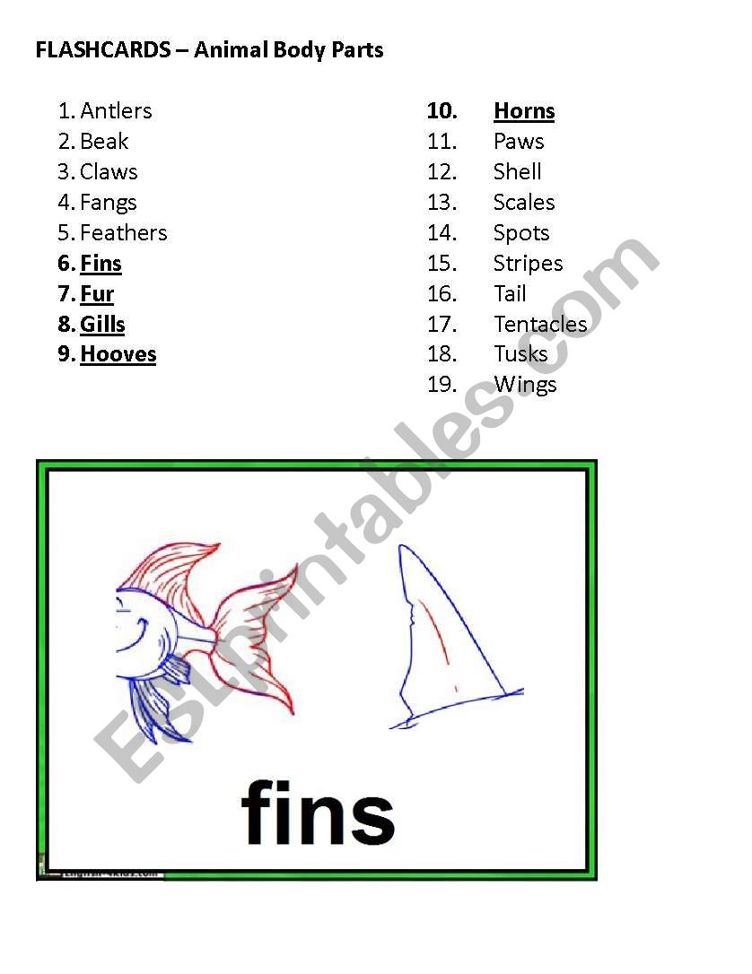 Flashcards - Animal Body Parts, Part 2 of 4 