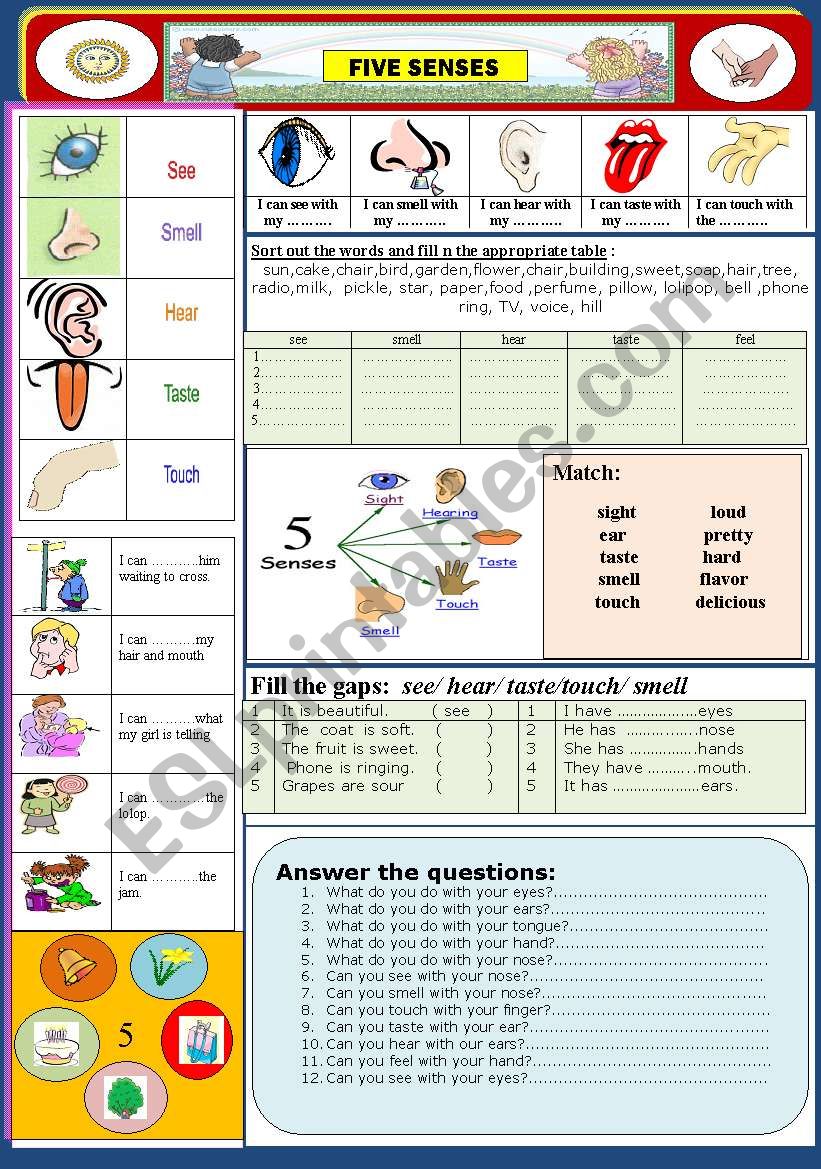 Body : Our Five Senses worksheet