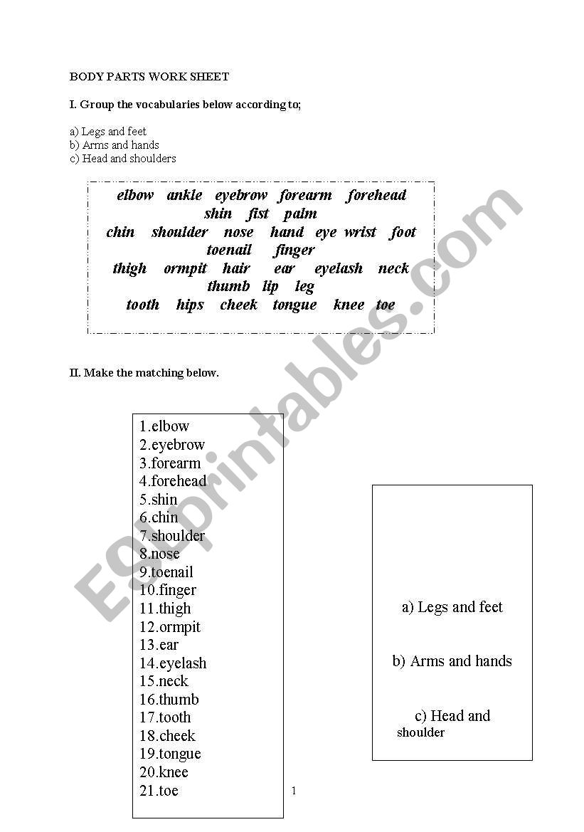 body parts worksheet