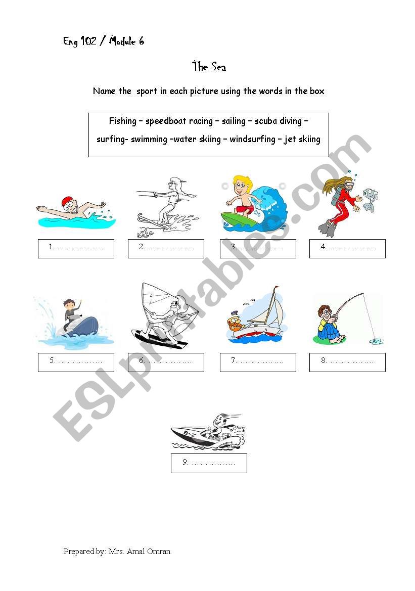 sea sports worksheet