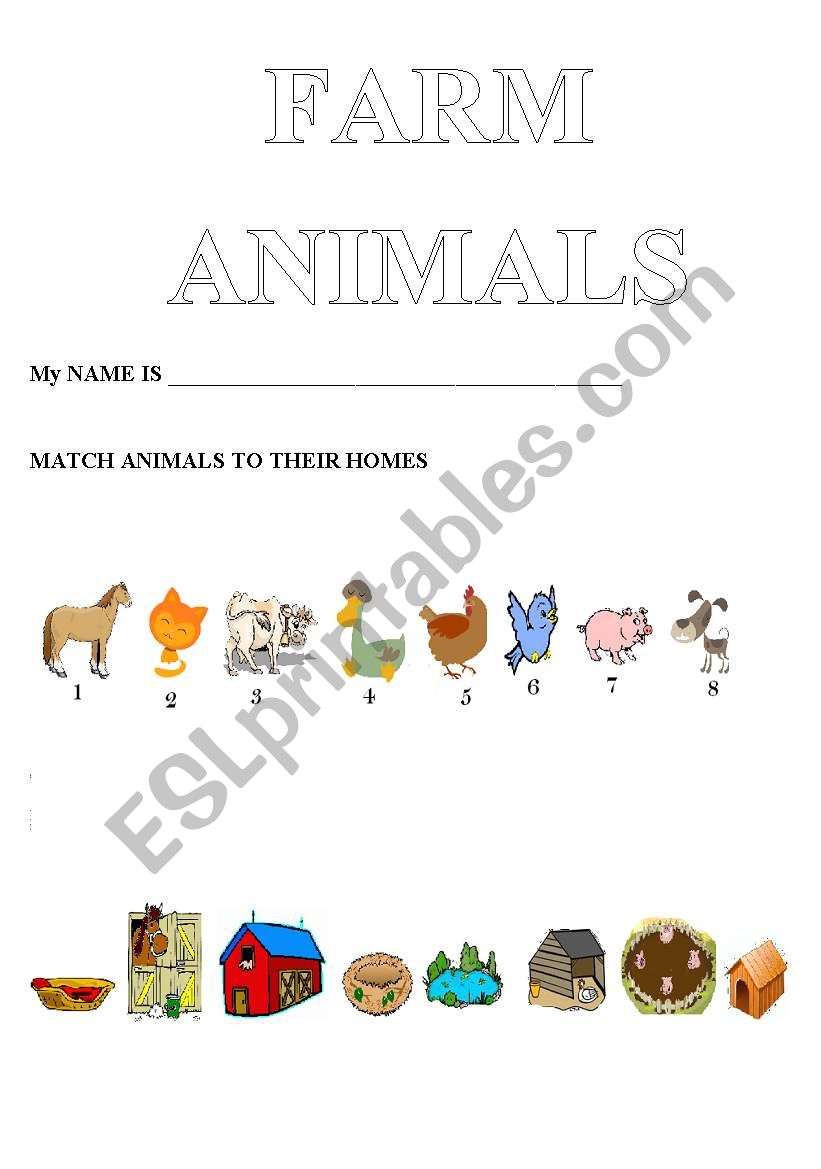 Match homes to animals worksheet