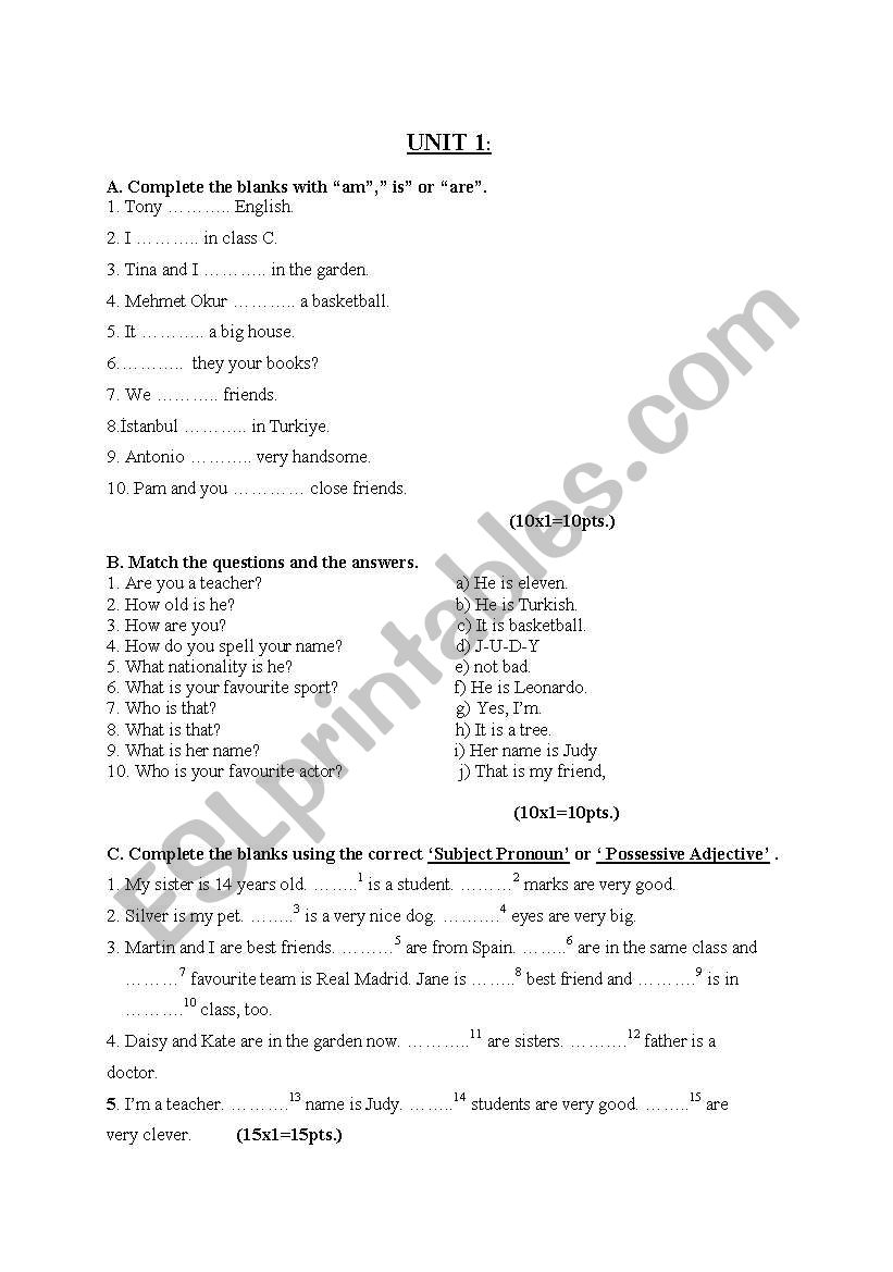 simple present tense worksheet