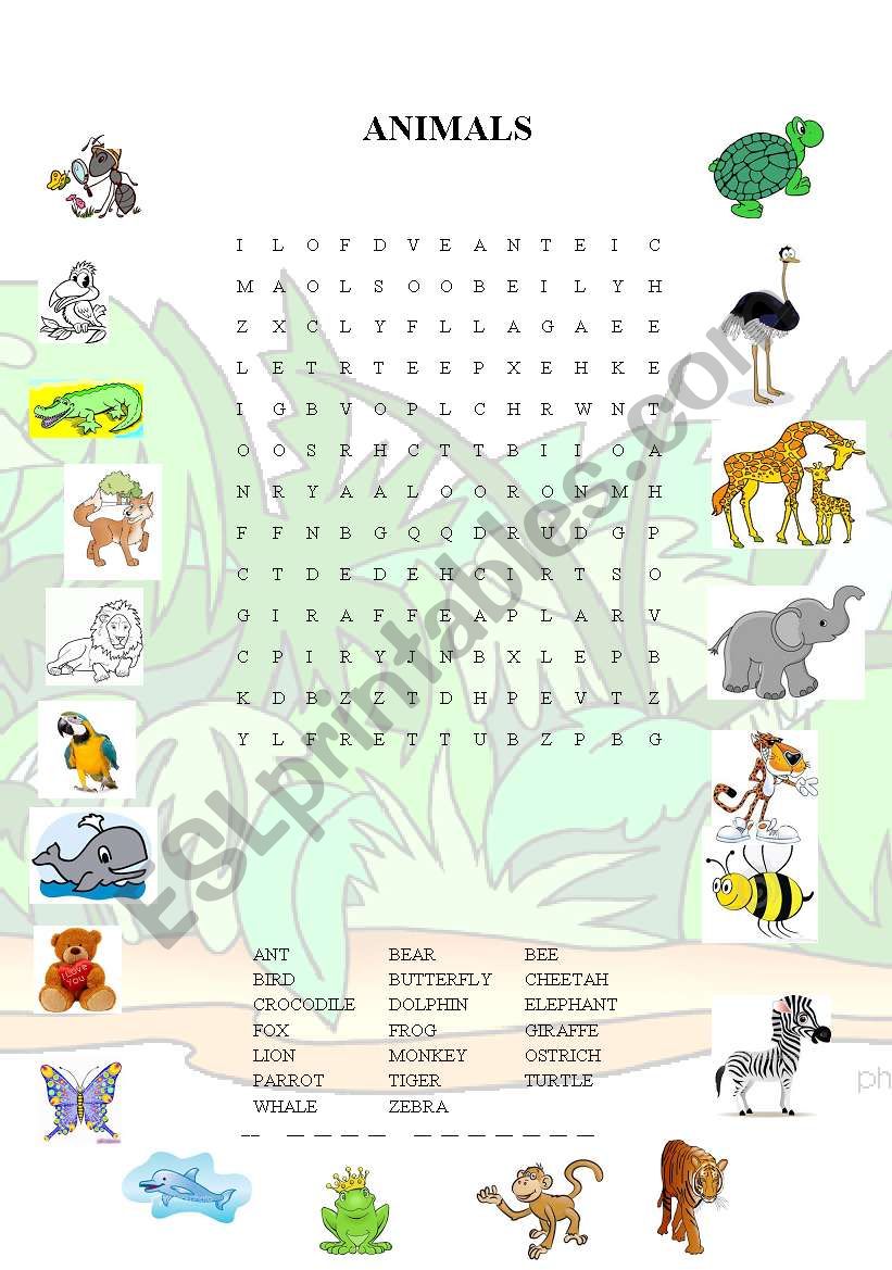 Animals worksheet