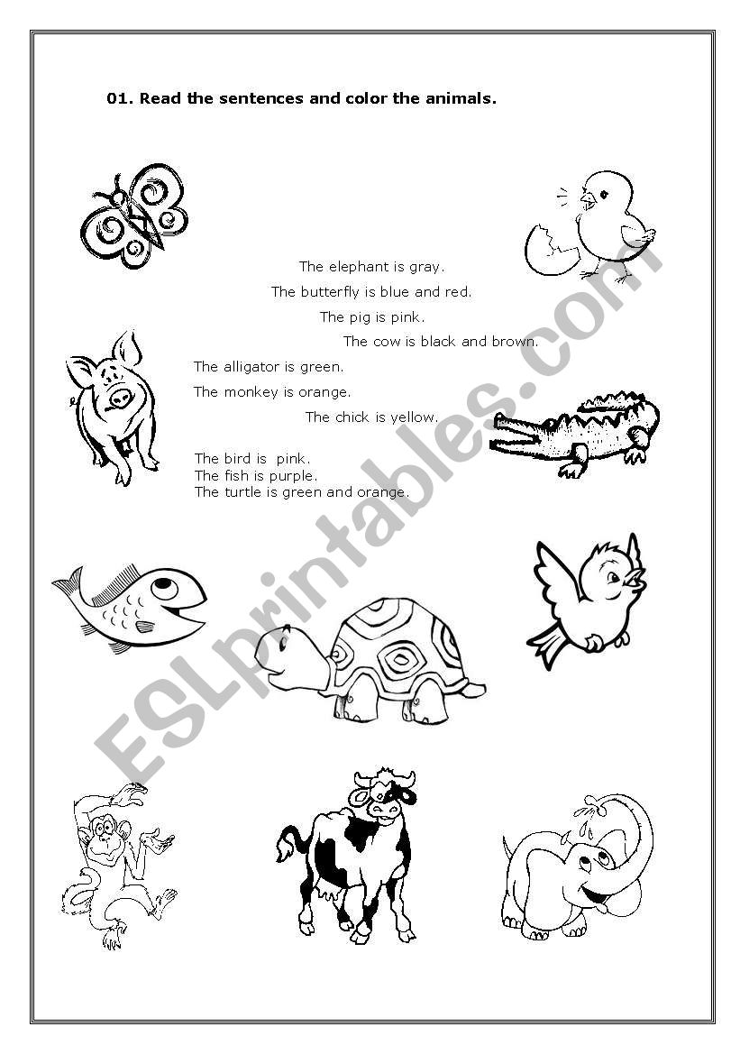 Animals and Colours worksheet