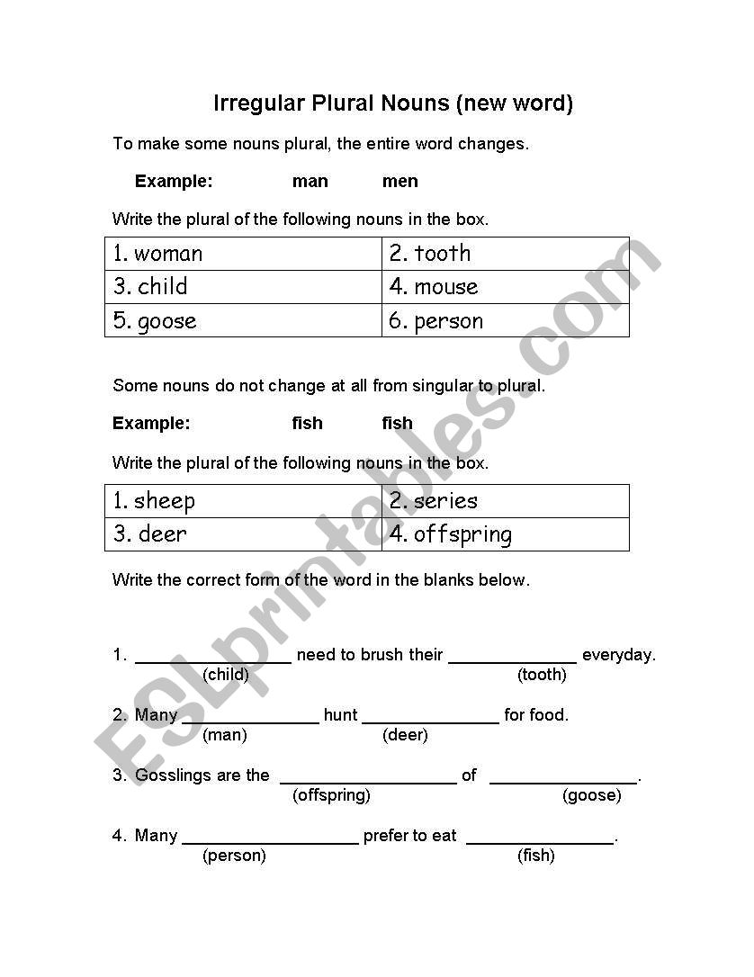 Irregular Plural Nouns worksheet