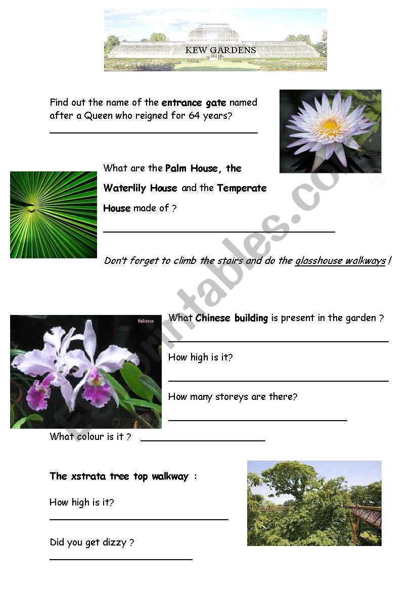 a visit to Kew Gardens worksheet