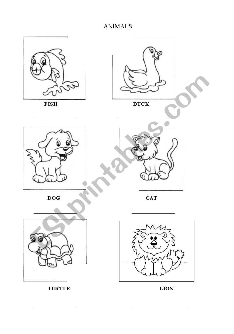 ANIMALS worksheet