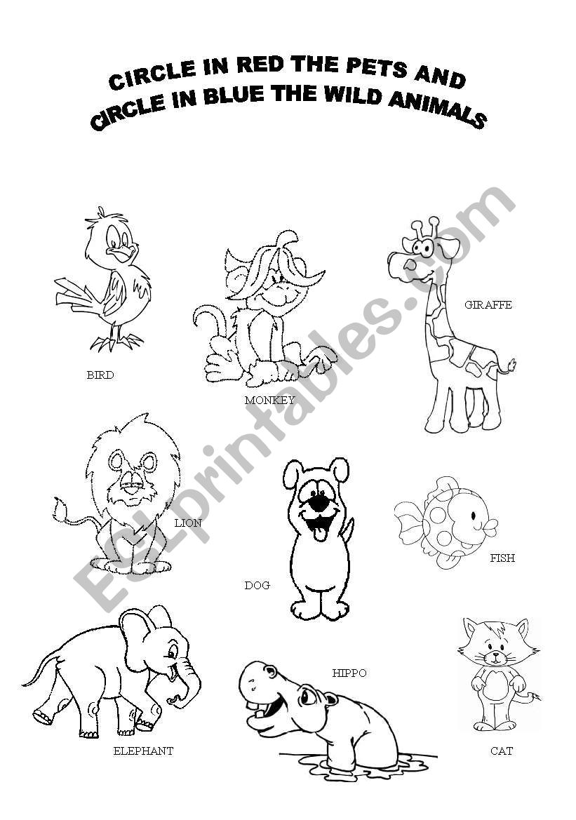 Wild animals and Pets worksheet