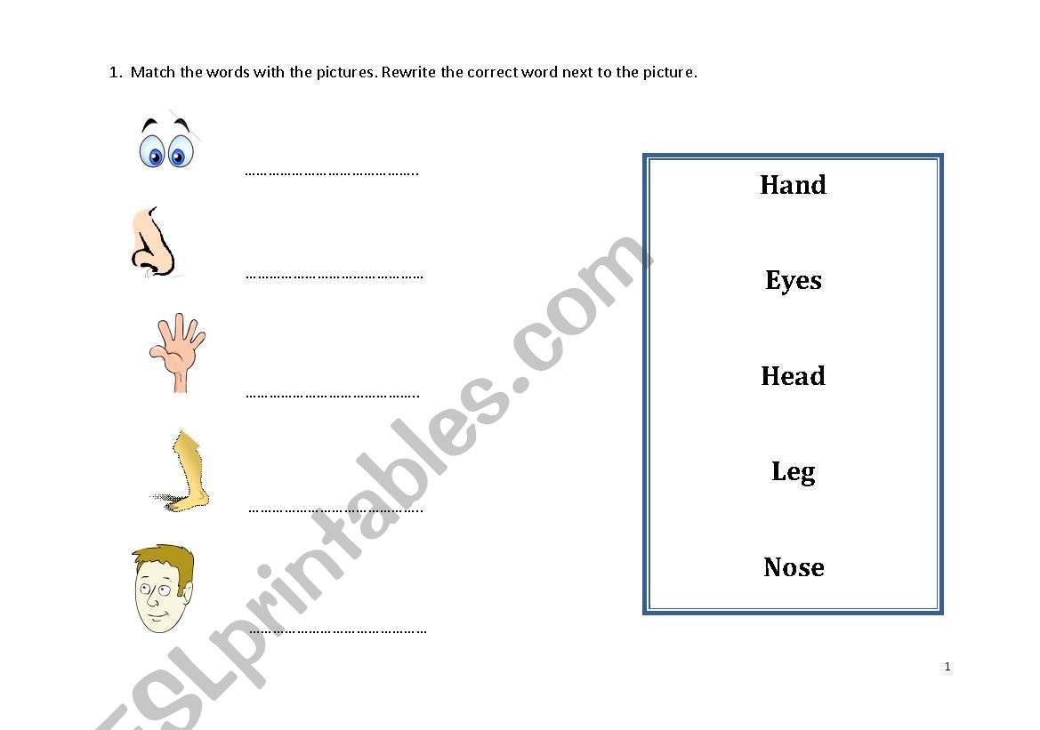 Body - matching test worksheet