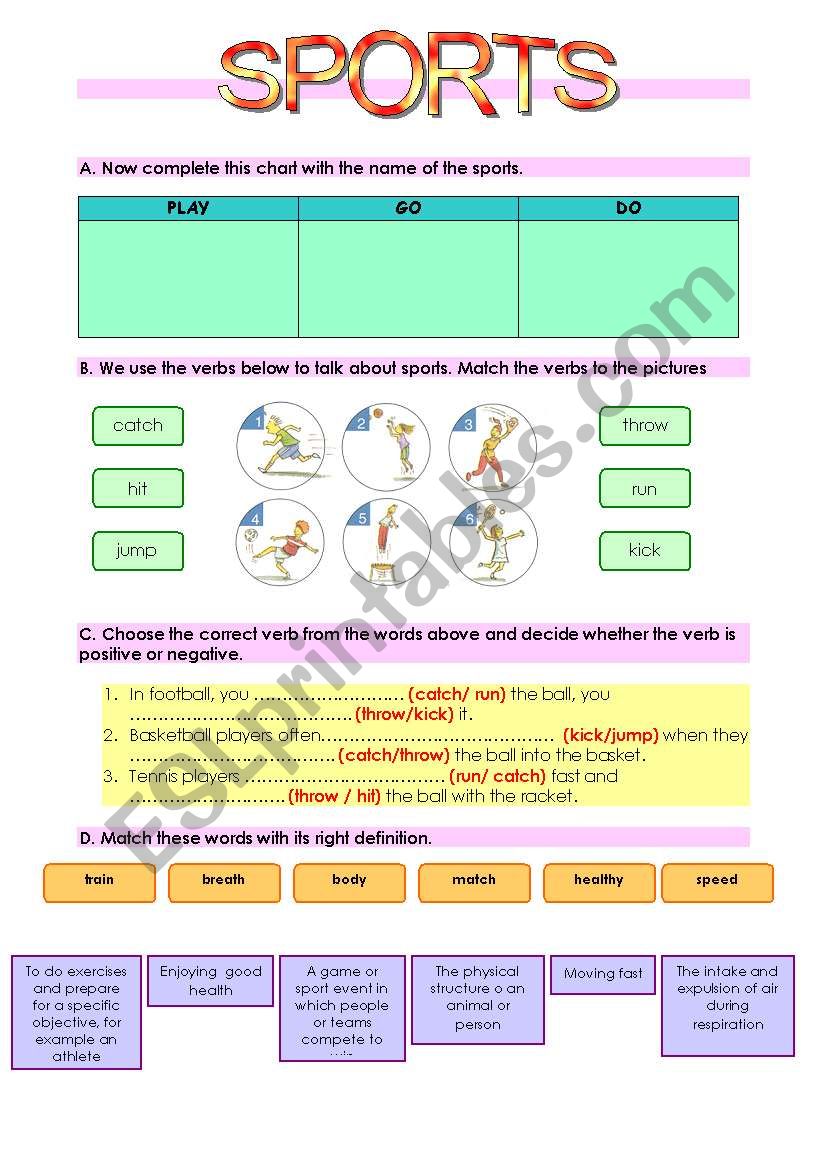 Sports worksheet