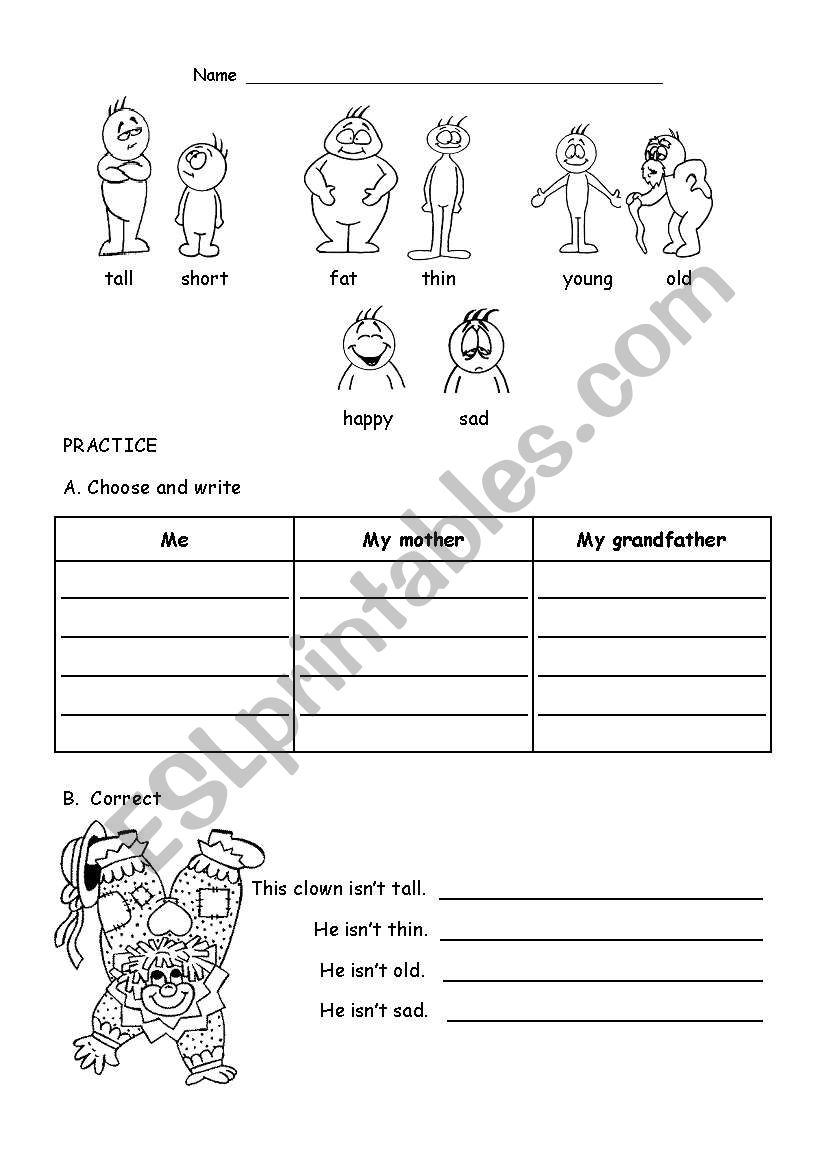 basic adjectives worksheet