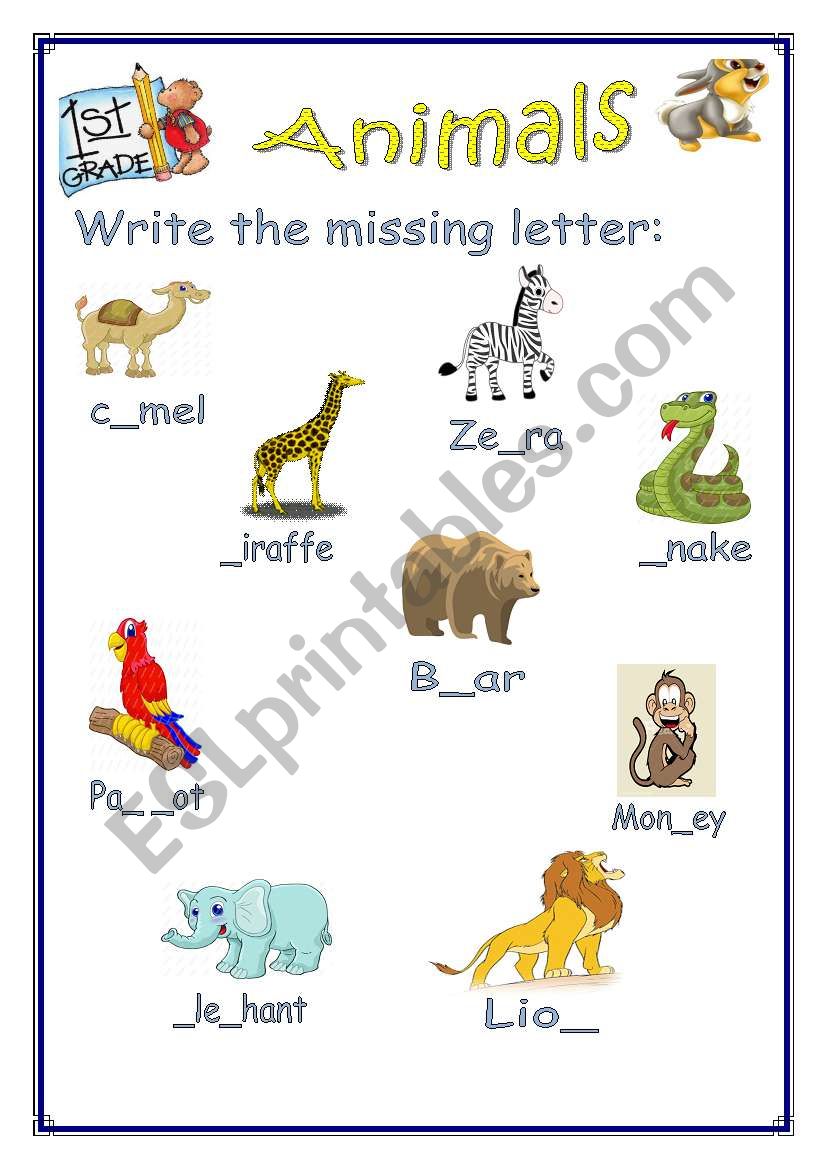 Animals worksheet