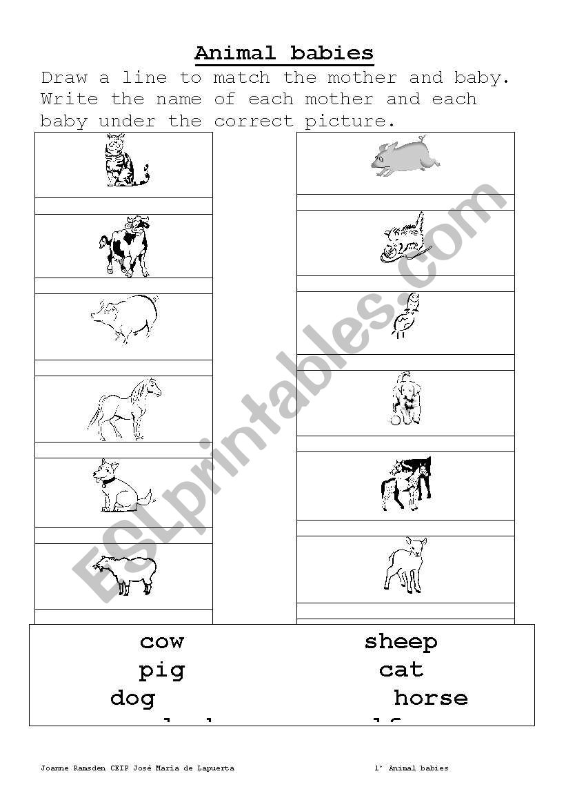Mother and baby animals worksheet