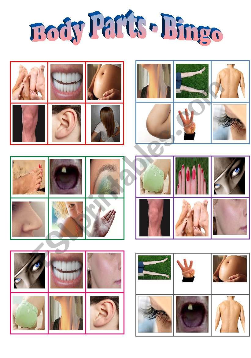 Body Parts Bingo - 24 different cards WITHOUT body parts names