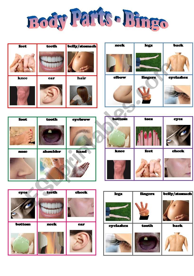 Body Parts Bingo - 24 different cards WITH body parts names