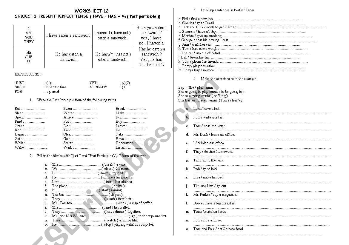 PRESENT PERFECT TENSE worksheet