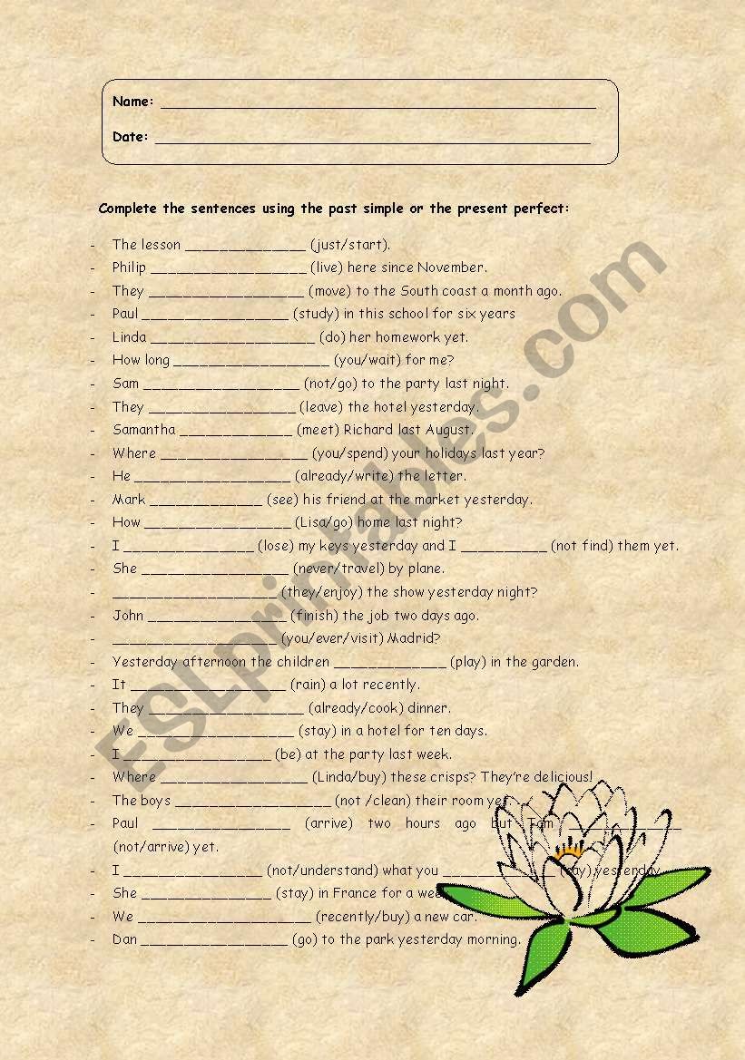 simple past-present perfect worksheet