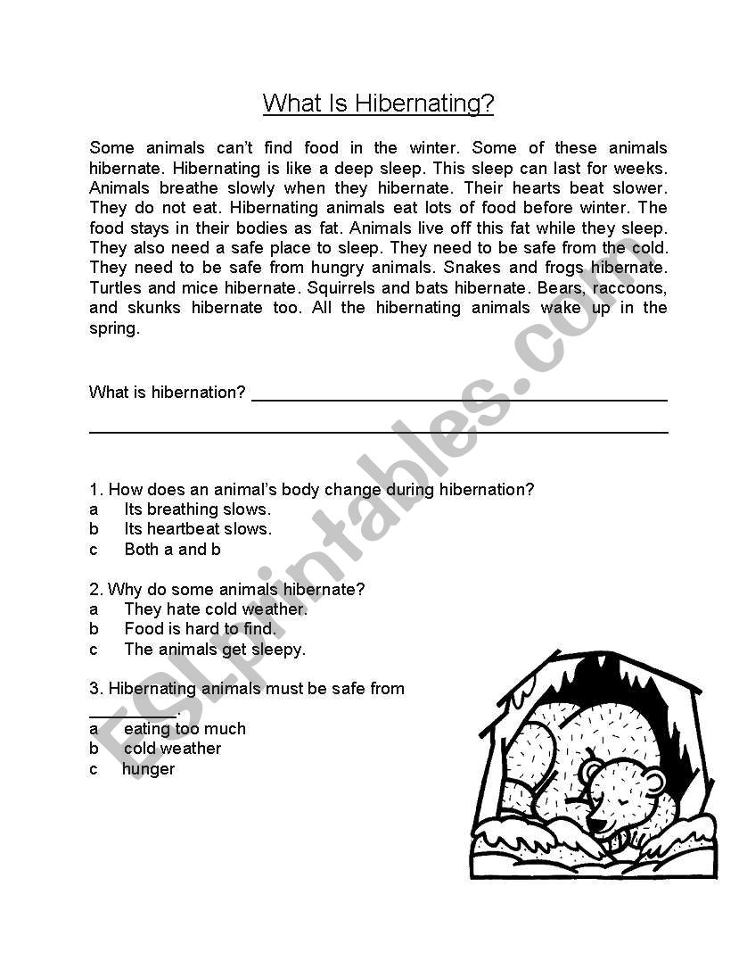 Hibernation worksheet