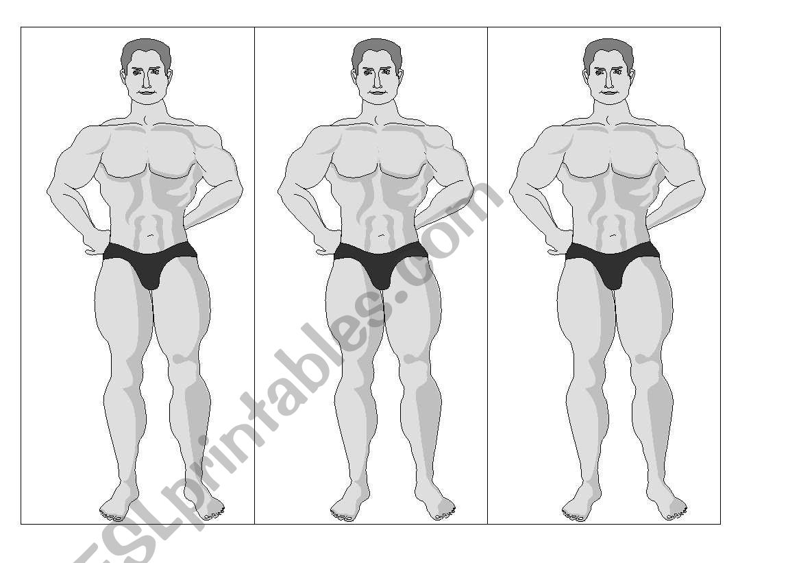 parts of the body worksheet
