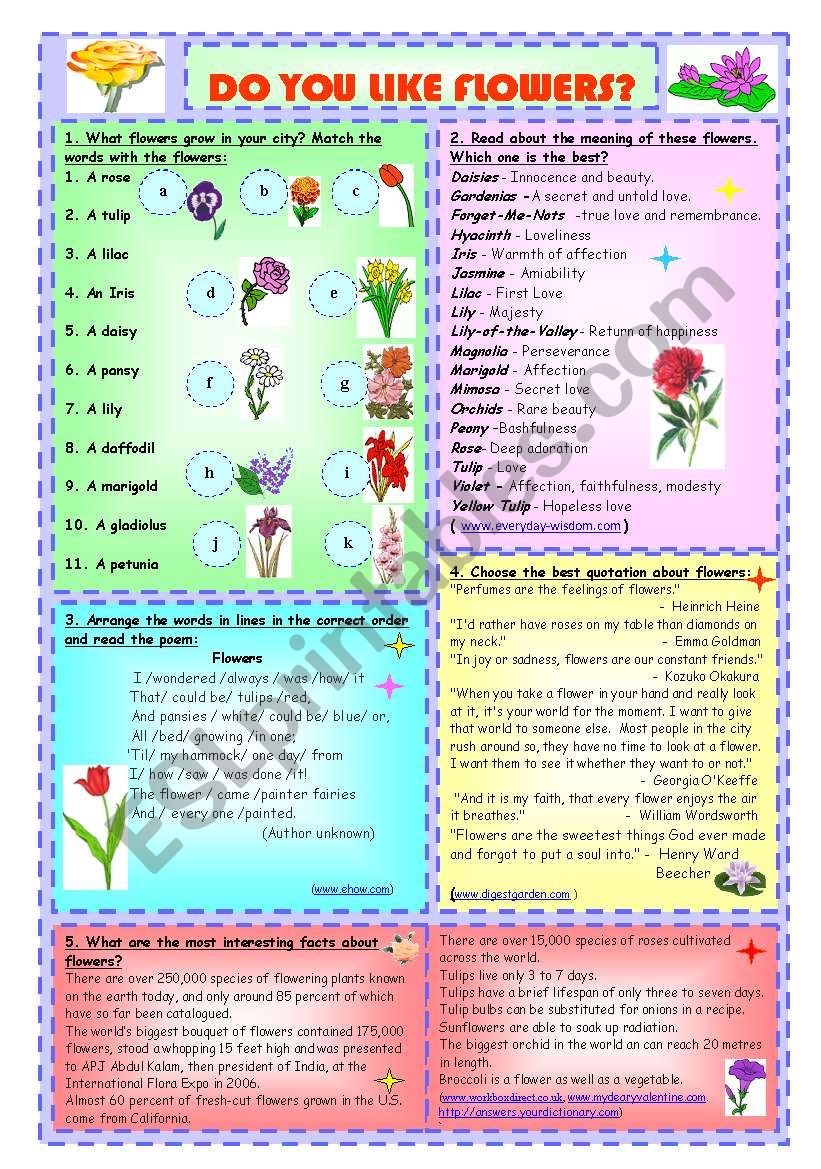 Do You Like Flowers? worksheet