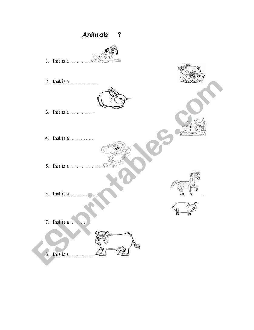 ANIMALS worksheet