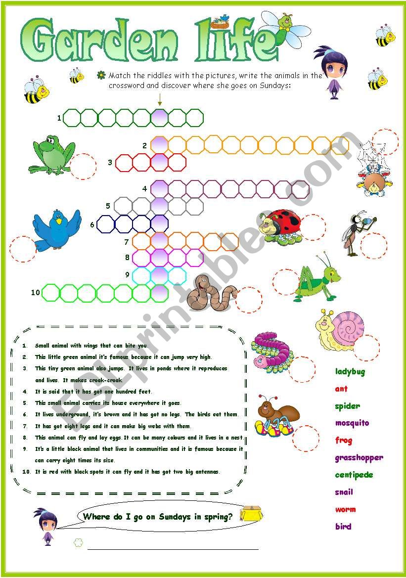 Some animals live in my garden crossword (2 versions)