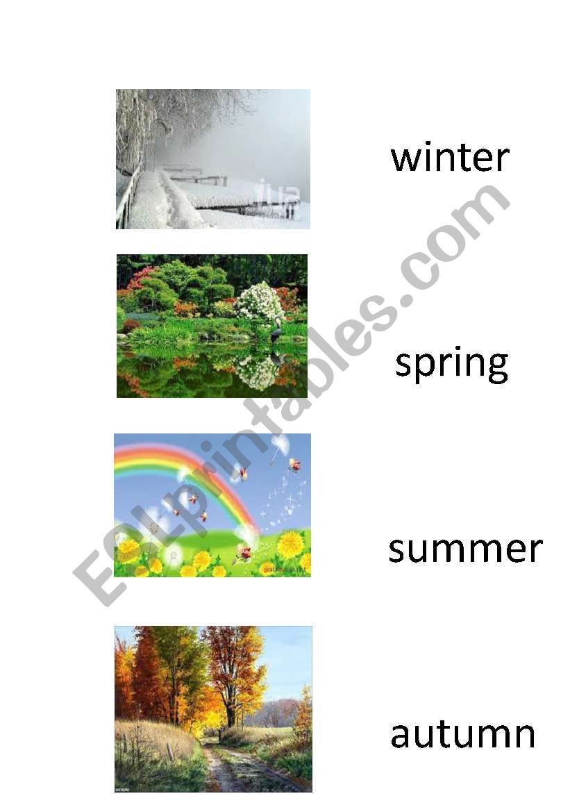 Seasons worksheet