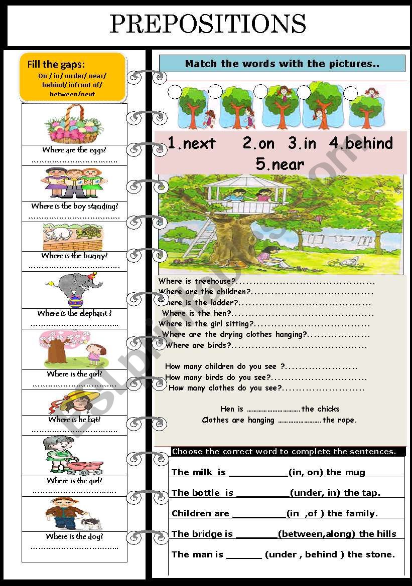 Prepositions  worksheet