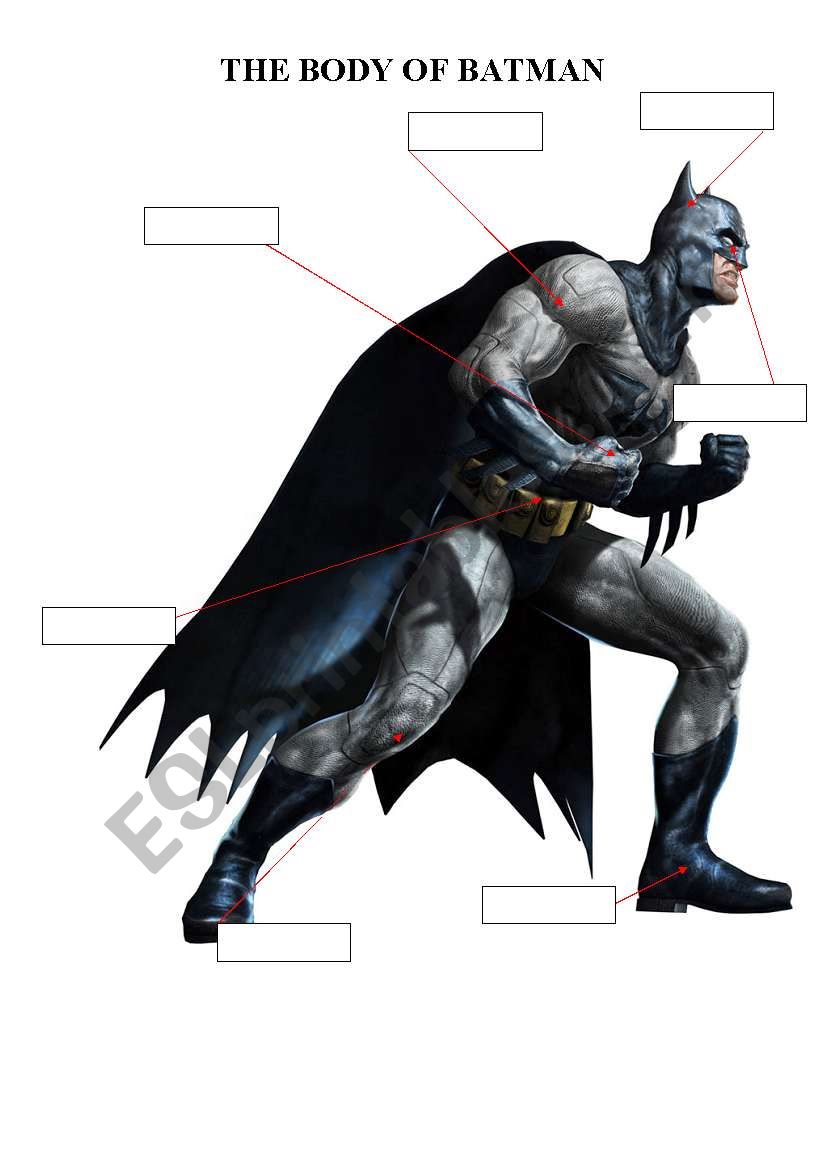 THE BODY OF BATMAN worksheet
