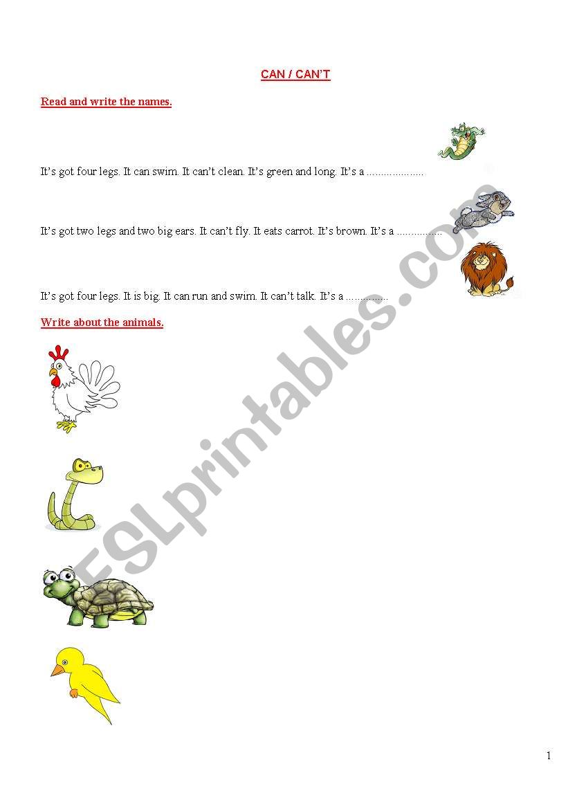 CAN/CANT AND ANIMALS worksheet