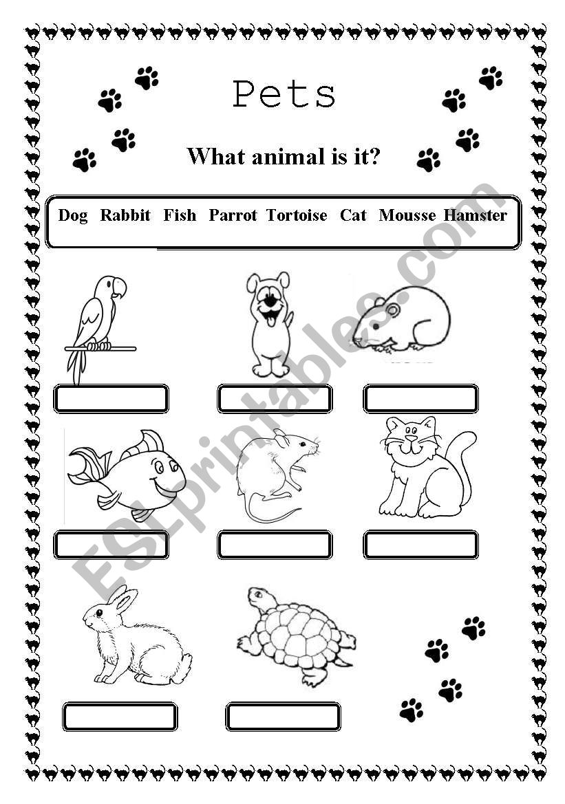 Pets (2 pages) worksheet