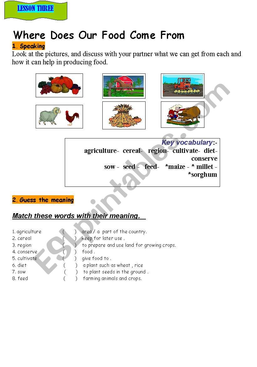 food worksheet