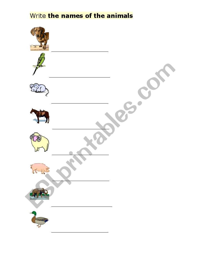 the names of animals worksheet