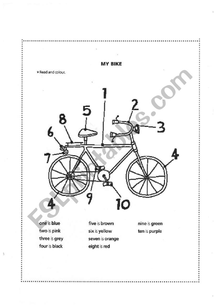 Mt bike worksheet