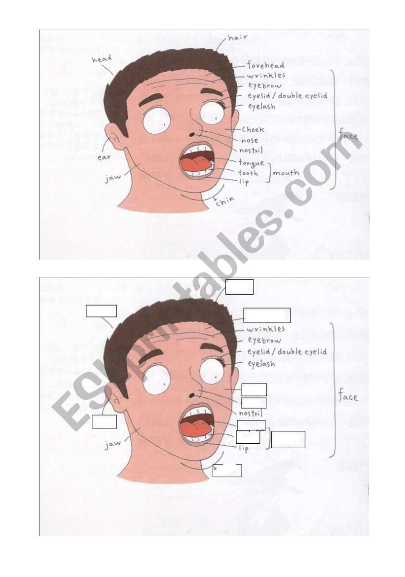 face worksheet