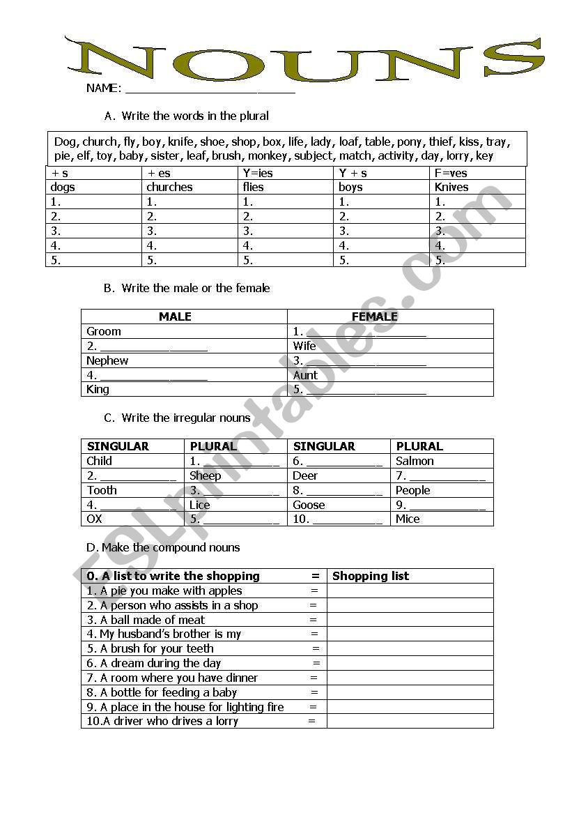 NOUNS worksheet