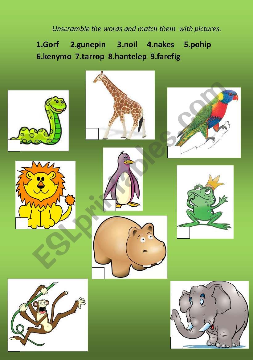 animals worksheet