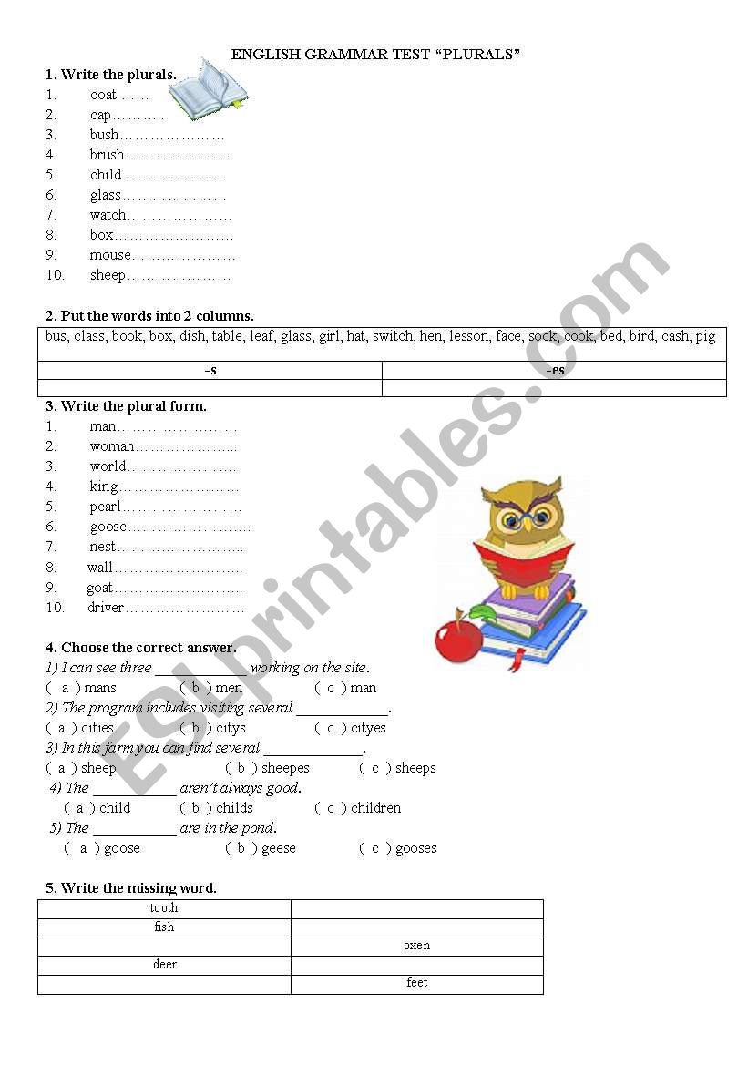 Plurals worksheet