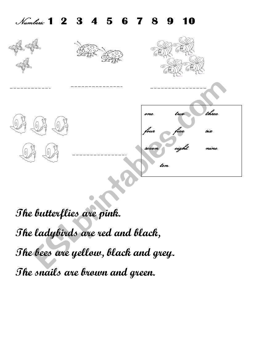 Little Bugs  worksheet