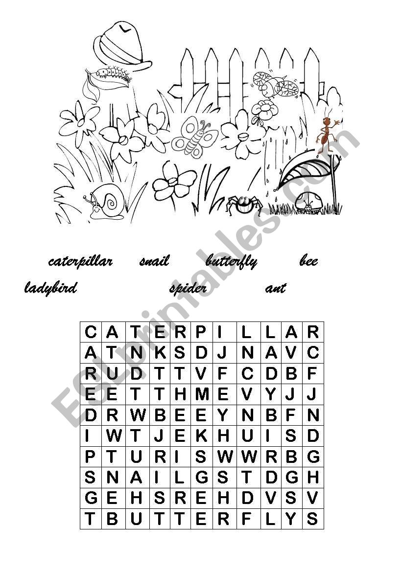 Wordsearch-little Bugs worksheet