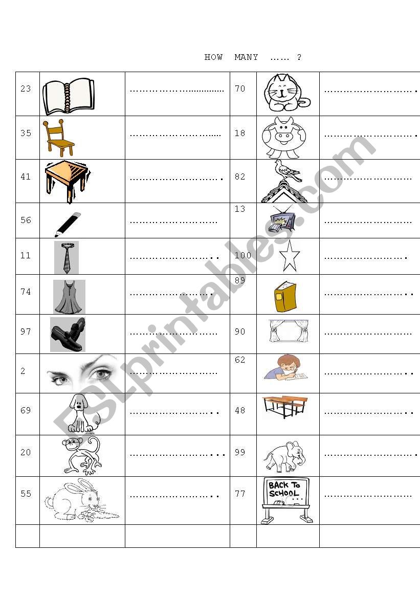 Numbers (plurals) worksheet