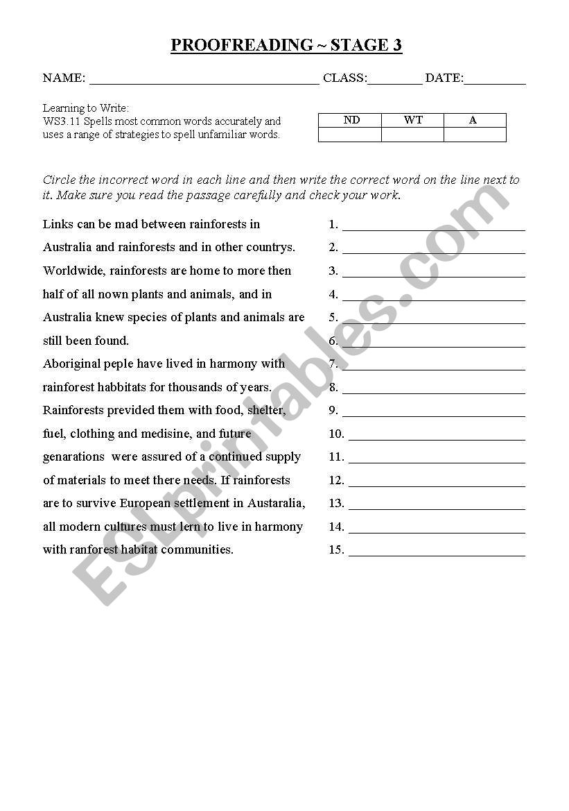 Rainforest Assessment worksheet