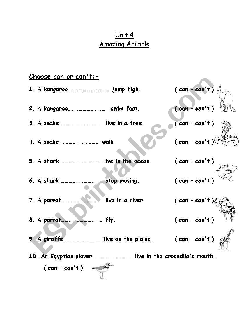 Can or cant worksheet