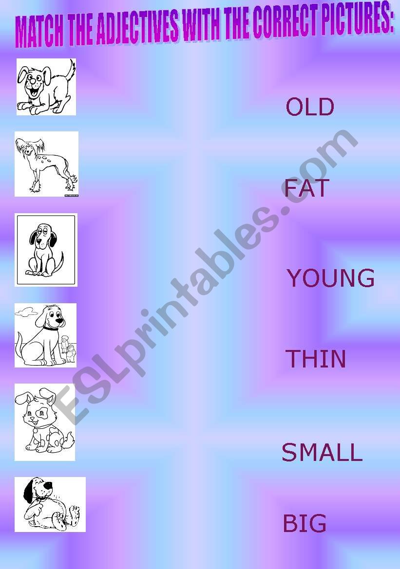 ANIMALS IN THE GARDEN worksheet