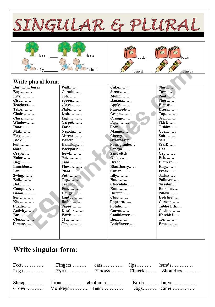 Singular and Plural worksheet