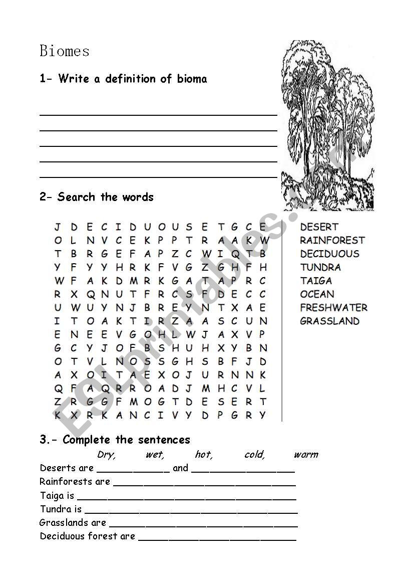 Biomes worksheet