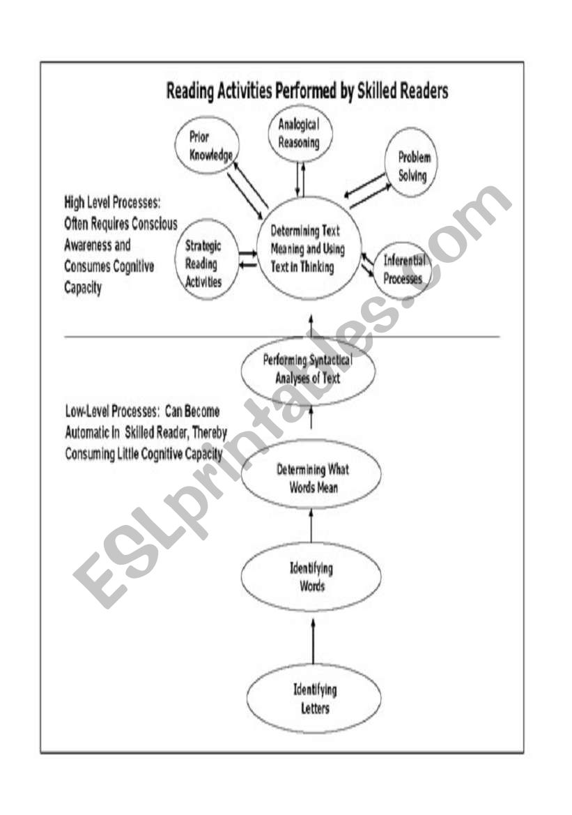 reading activity worksheet