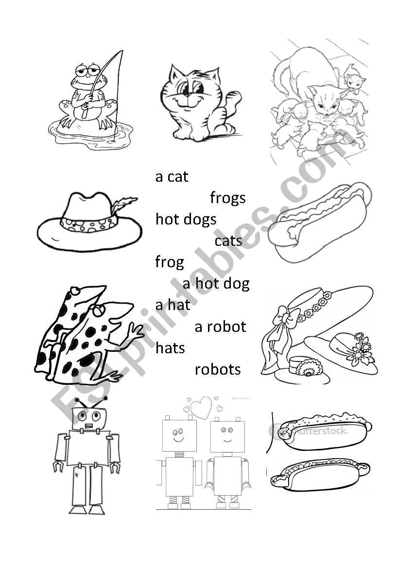 Match simple words, singular and plural