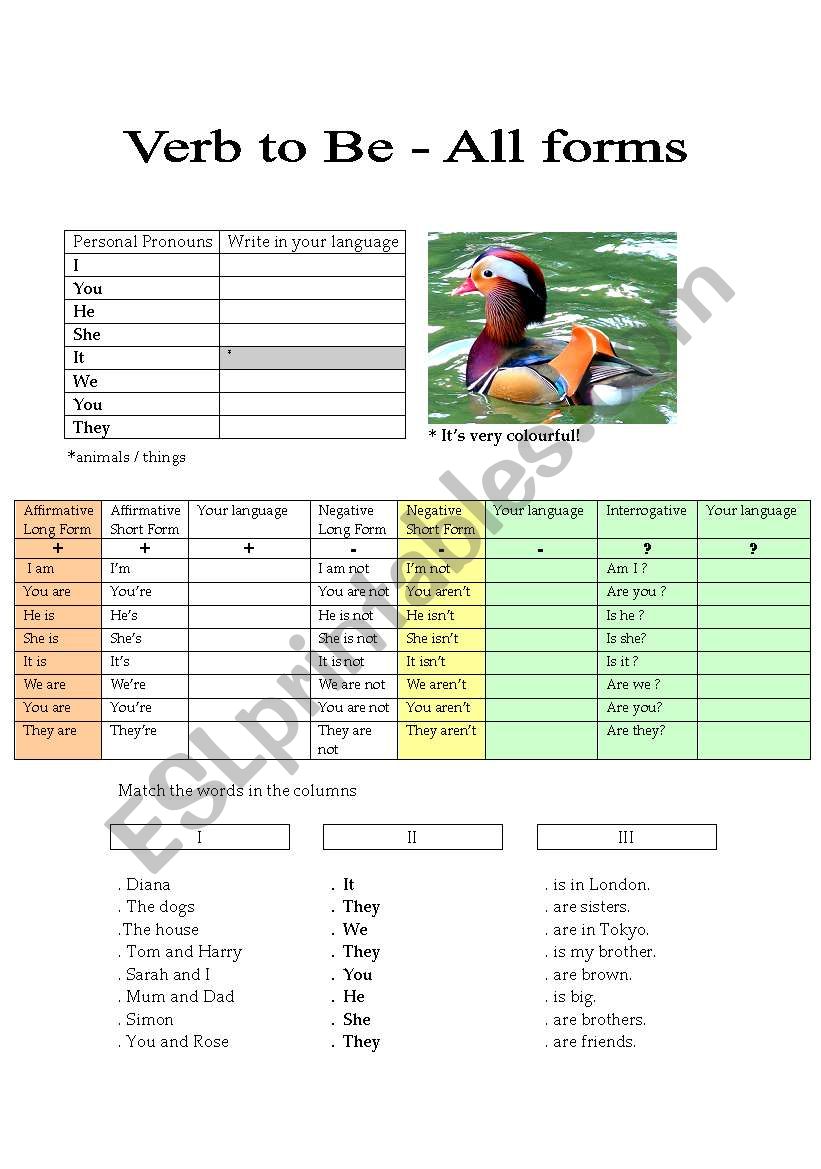 verb to be (all forms) worksheet