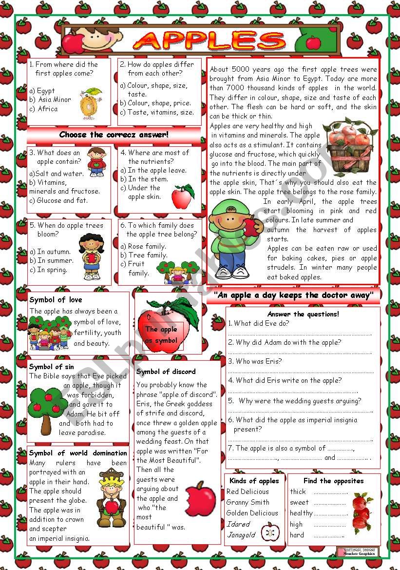 Apples (KEY included) worksheet